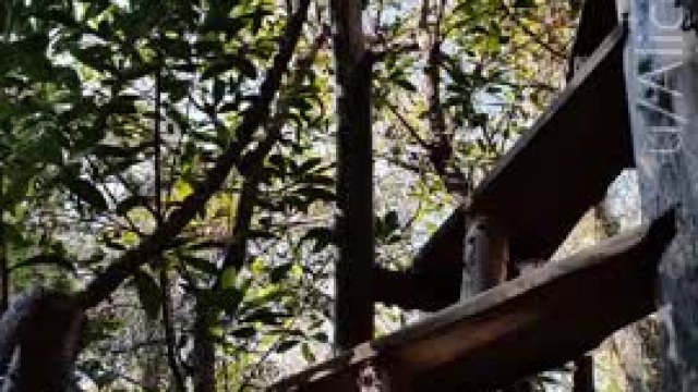 Somehow getting reincarnated into stairs could have some benefits.