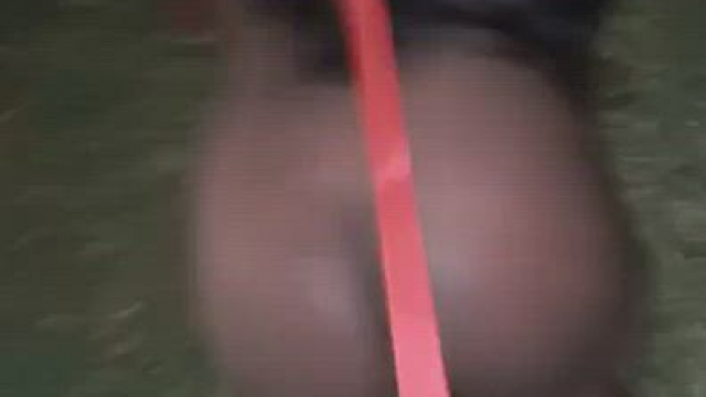 It's always important to give your pets plenty of play time