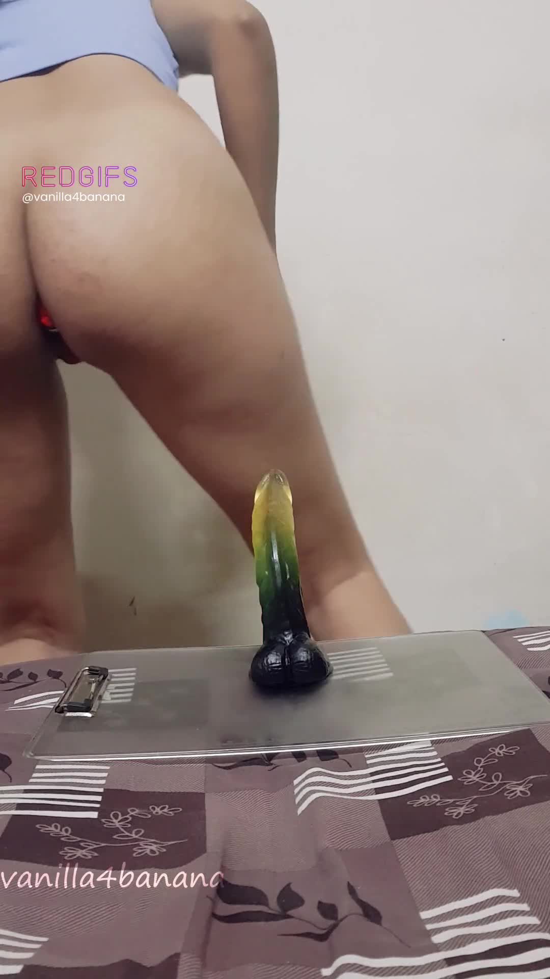 Live Cam