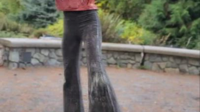 Playful Girls at the Park