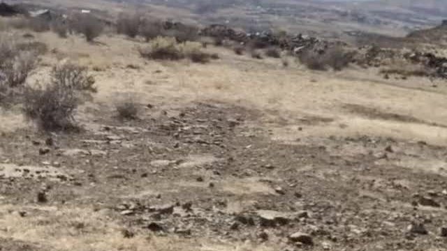 Went for a hike today, wanted to show off