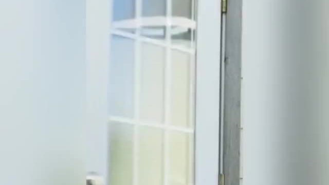 Elizabeth masucci in virgin Alexander and the Americans