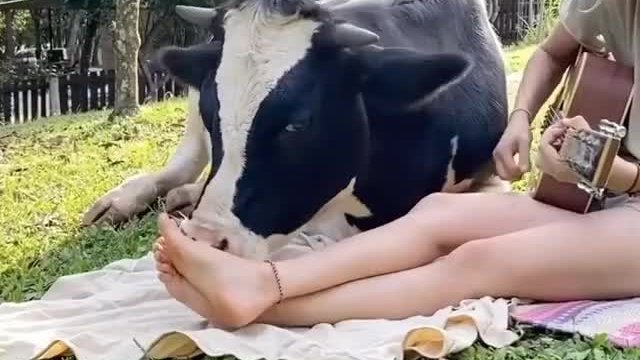 Sorry, It's Not the Time For the Guitar