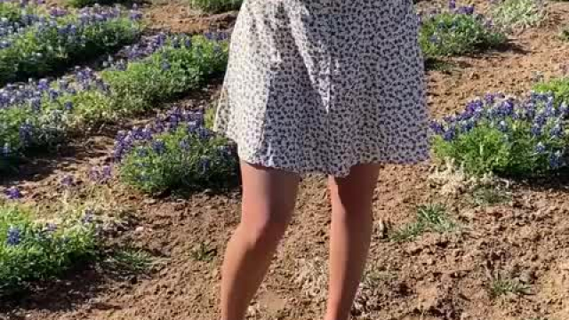 Such a cutie field of flowers. Just had to pull over and flash in it