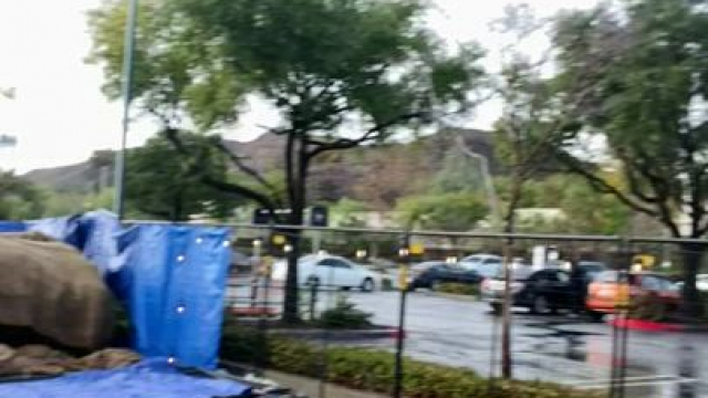 Having fun finding the perfect tree with my friends