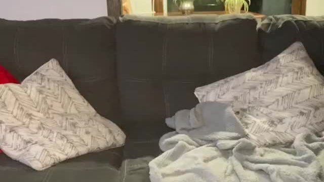 Just what the weekend needs