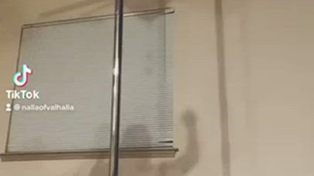 Your new favorite stripper