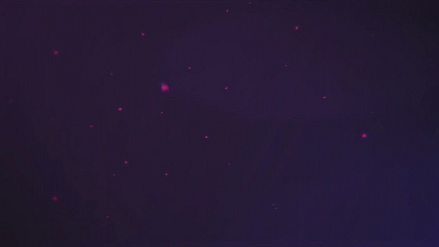 Wishlist Building our Futature (dickgirl/cheating game) on Steam