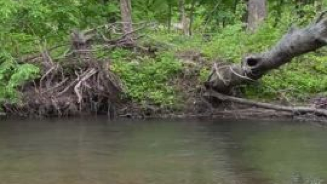 Which Reddit Follower Wants to Get Sucked On by Me Next Month?