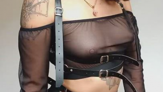 Come play with little kitty! Available right now