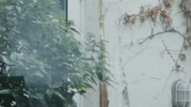 Billie Blain - The Holy Family (2019)