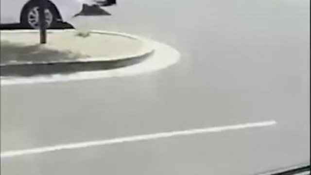 Car Rides Can Be Fun