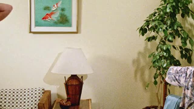 Cynthia Brimhall - Hard Ticket To Hawaii (1987)