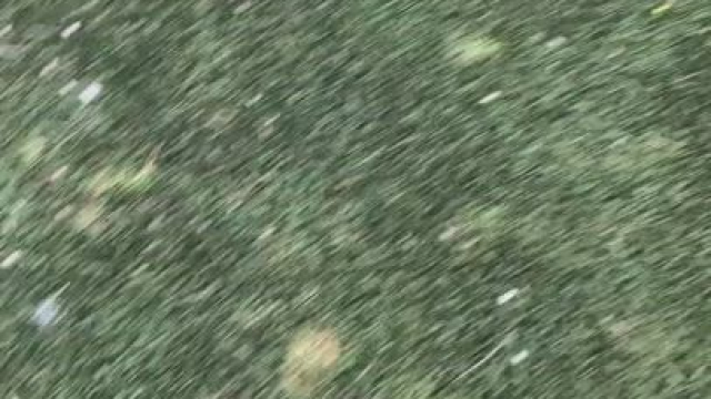 Shaking her Ass for Pornhub