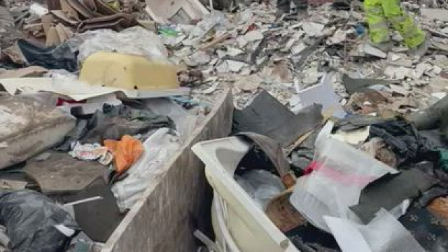 Don't put your penis in that