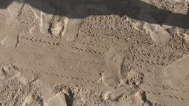 Swiss footballer Alisha Lehmann