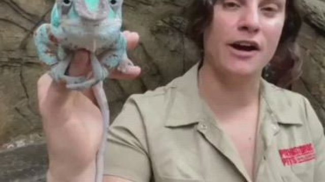 Did I make you smile with my fun reveal