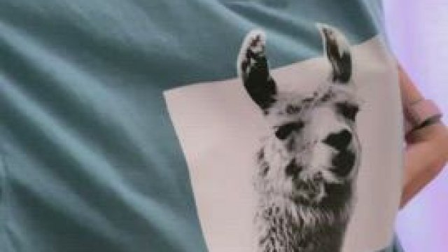 Am I about the right size for some fun?