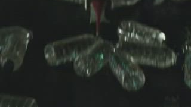 Margot Robbie - tiny cute back story in Suicide Squad (2016)