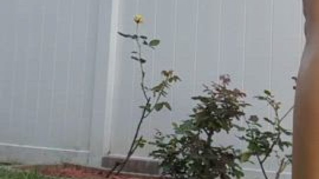 Tending my neglected roses