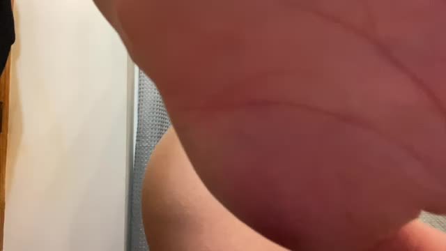 Would You Destroy This Booty