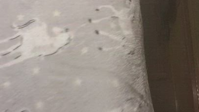 Do you guys like my thick Indian ass