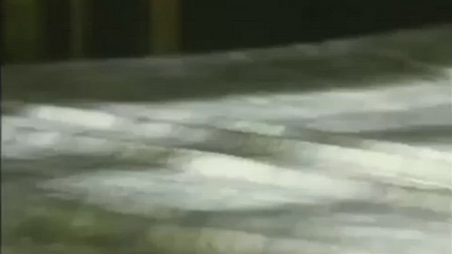 Samantha Lopez - Phone Sex