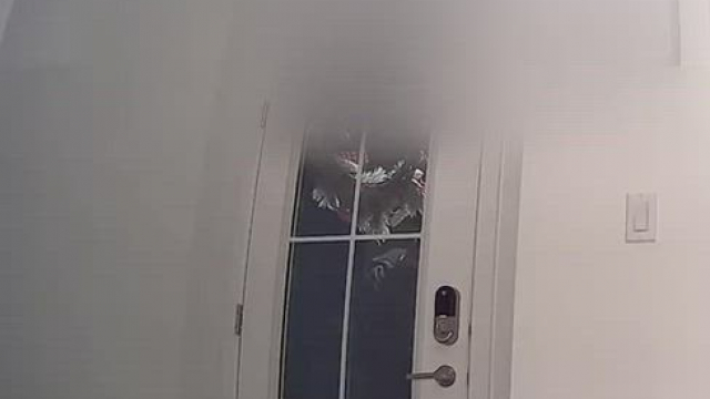 Wife’s first time doing the pizza dare topless and showing off for another man. 