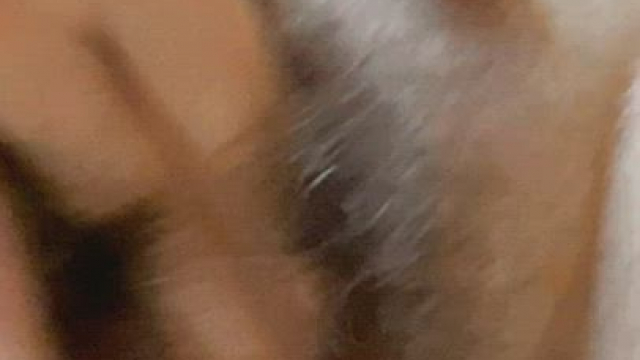 Stroking my furry kitty