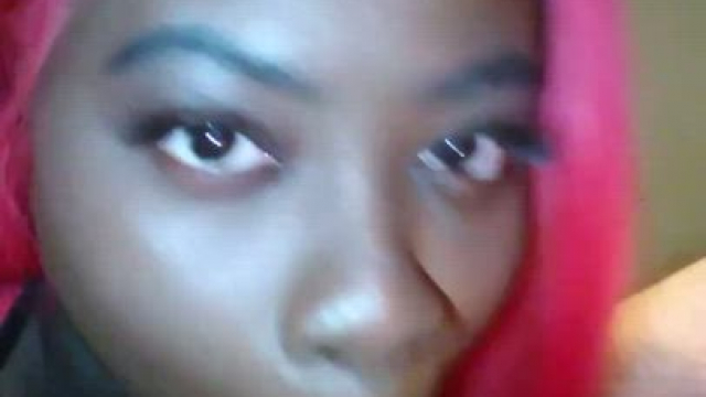 Massa's Favorite Monkey