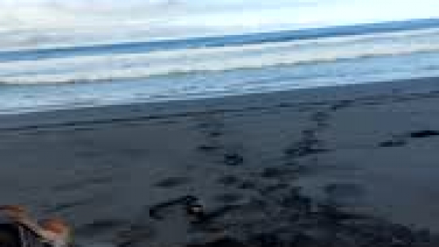 So this is winter in Tenerife