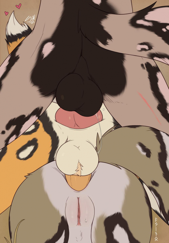 They make a pretty good fit for each-other~ [MMF] (Stargazer and Acino)
