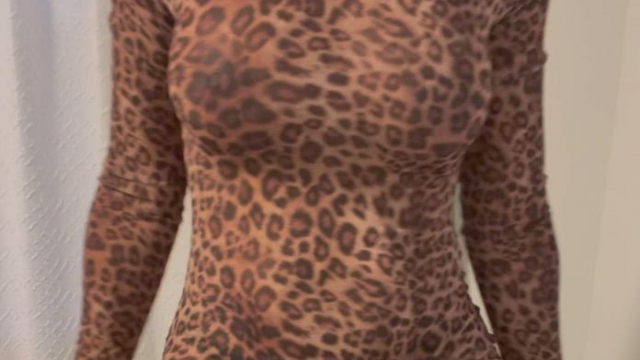 This kitty is ready to ride