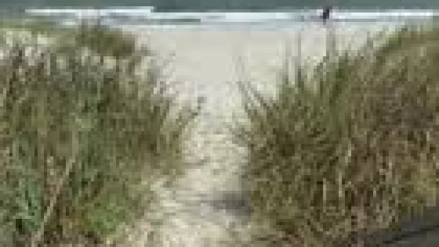 Just a horny girl, flashing her pussy at the beach [GIF]