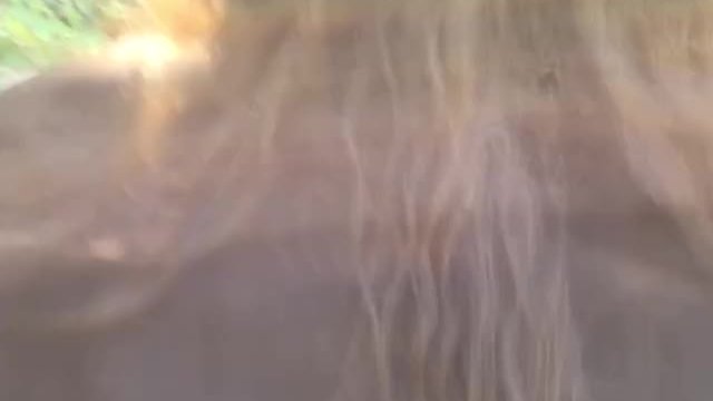 Our first post here :3