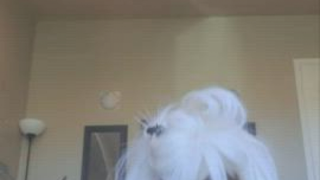 can i bother you like this before work