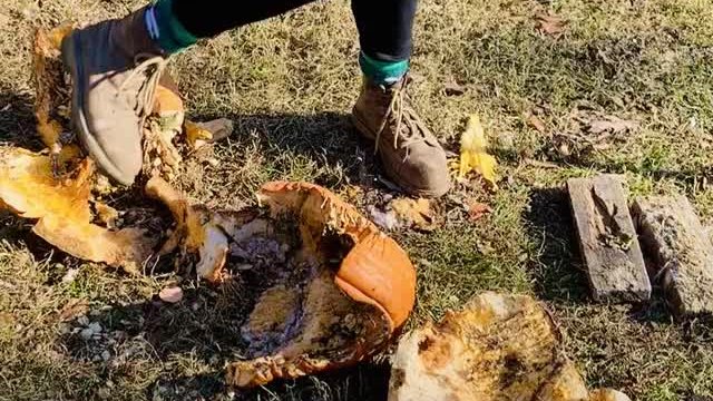 I wonder what my neighbors think of me 