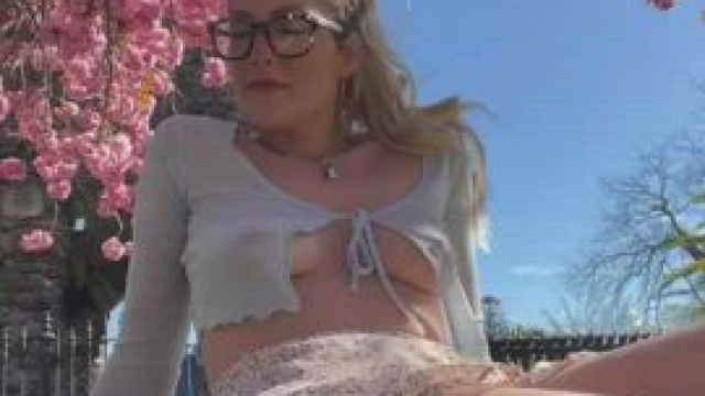 The park with the pretty trees is always next to a busy road