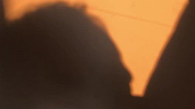 Asian girl sucking cock ??