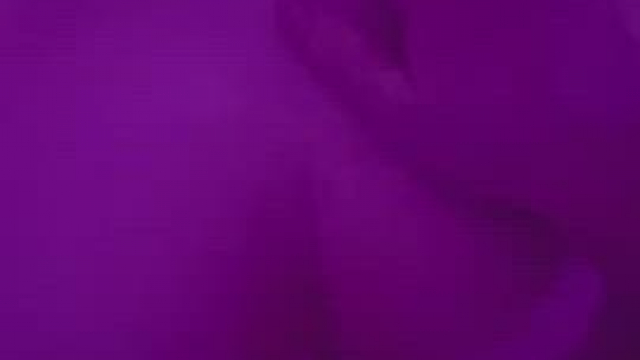 I love the way her plug turns her pussy into my own vibrating cocksleeve