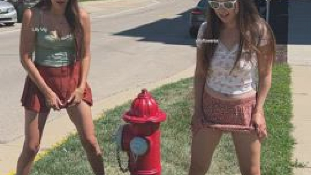 It's too hot out today! [GIF]