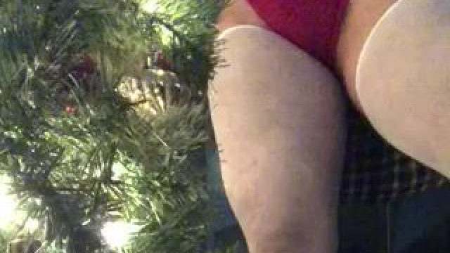 My bush is ready to get on Santa’s nice list