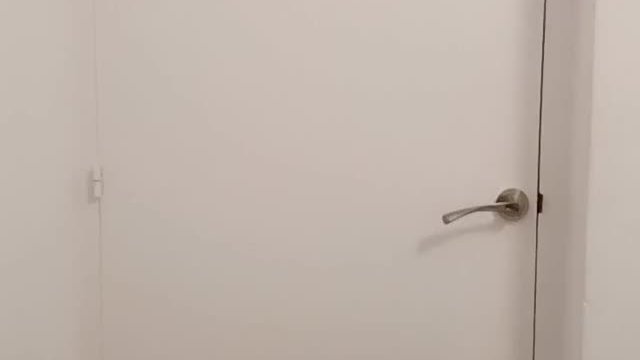 Who wants to catch this Pikachu?