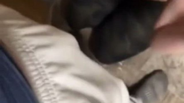 Girlfriend's friend follows me and takes out my bwc to throat it