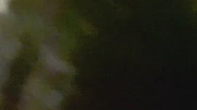 My wife deepthroating an old friend