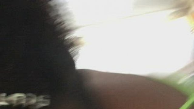 I Swallow Anything That's White