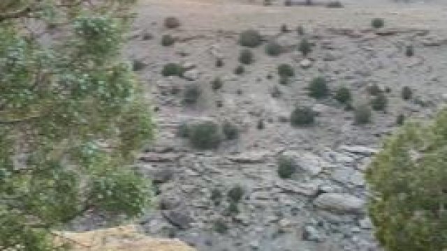 Road trips are fun [GIF]