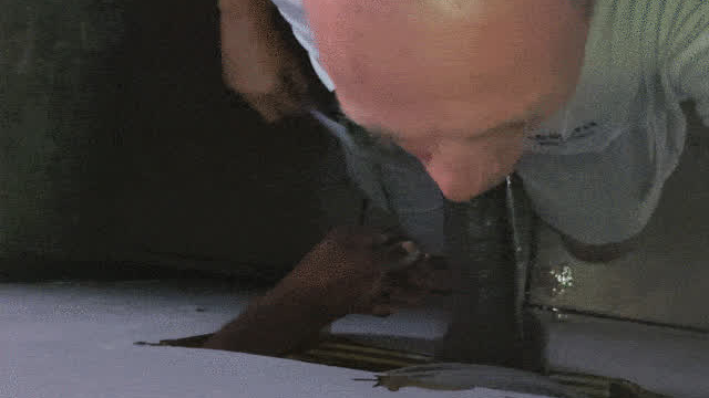 Bbc Whore Gloryhole Training