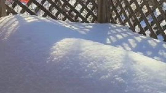 can i cuddle up next to you? i had a bit too much fun in the snow (18f)