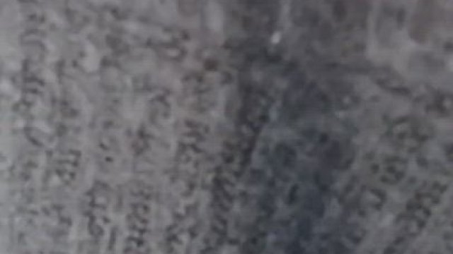 Phenomenal transitions and even better tits